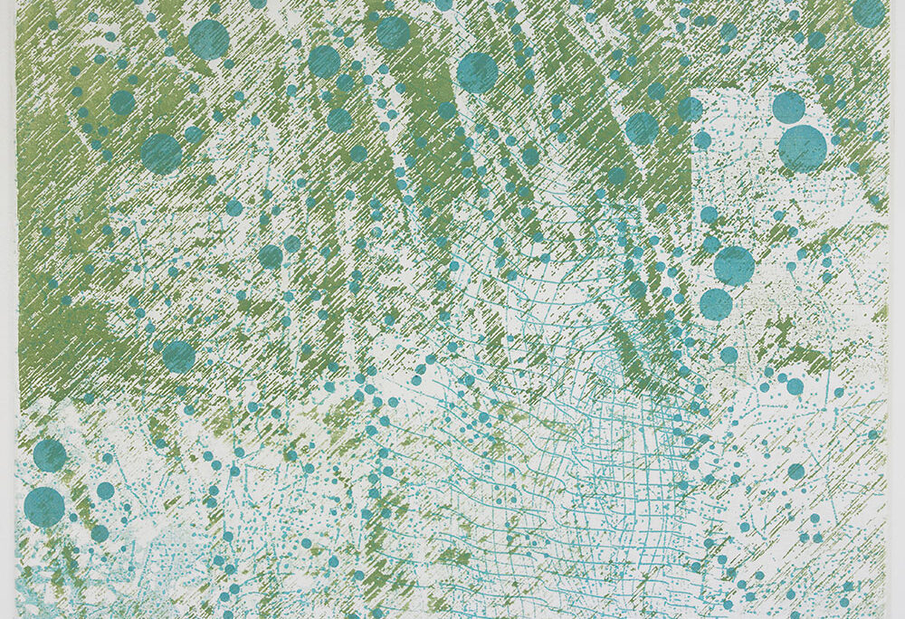 Rain on Ferns, etching, 11 in x 14 in